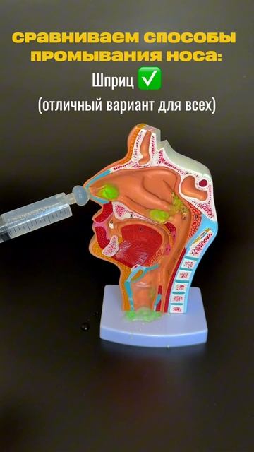 Промыть нос правильно, лечение гайморита, победить со? смотреть онлайн