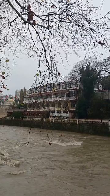 Погода в декабре #сочи #sochi #сочисегодня #декабрь #музык смотреть онлайн