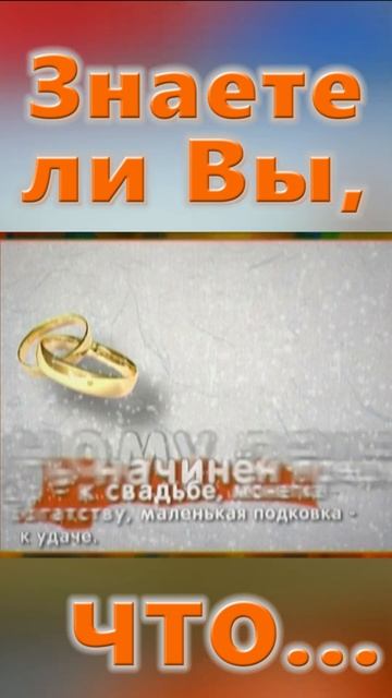 Знаете ли вы, Что? Рождественский пирог смотреть онлайн