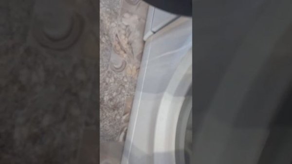 обзор стиральной машины Hotpoint ARISTON VMSL 501 5,5 кг