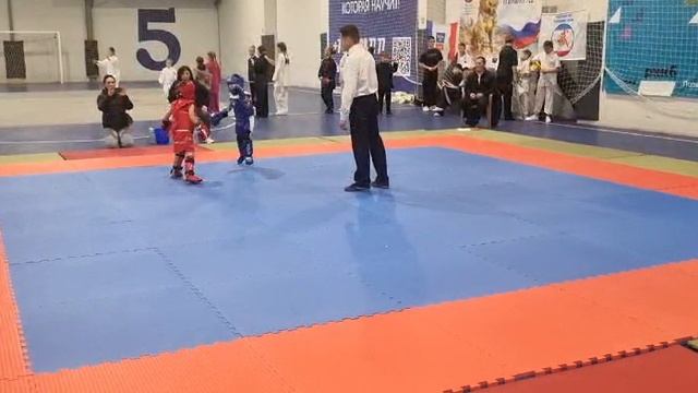 УШУ-САНЬДА смотреть онлайн