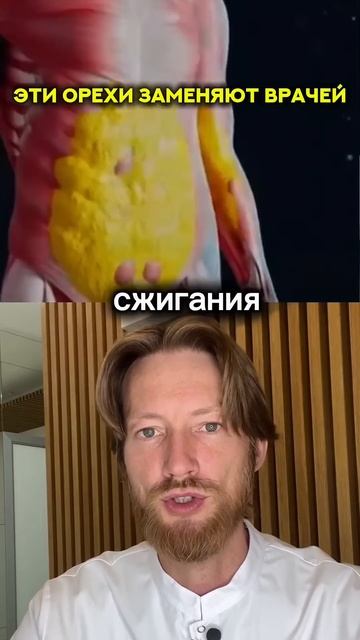 Эти орехи заменяют врачей #орехи #рецепт #зож #похуден? смотреть онлайн