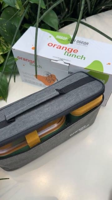 Набор для обеда ланч-бокс с супницей и термосумкой от O смотреть онлайн