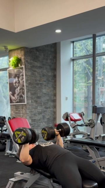 Пожала гантели 40кг смотреть онлайн