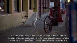 Все о перевозке багаж на самолетах авиакомпании Побед