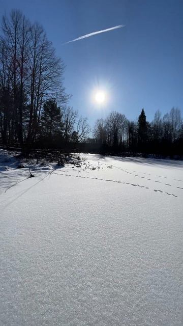 Под конец сезона погода радует #охота смотреть онлайн