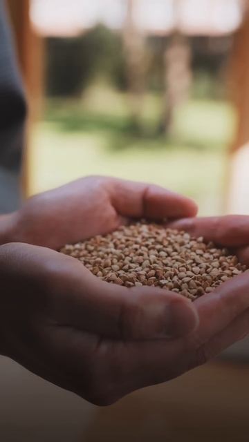 🕛ЧТО НУЖНО ЕСТЬ НА ОБЕД? #рационпп #зал #похудение #пит смотреть онлайн