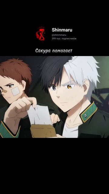 Сакура не оставляет в беде 🎬 Ветролом смотреть онлайн