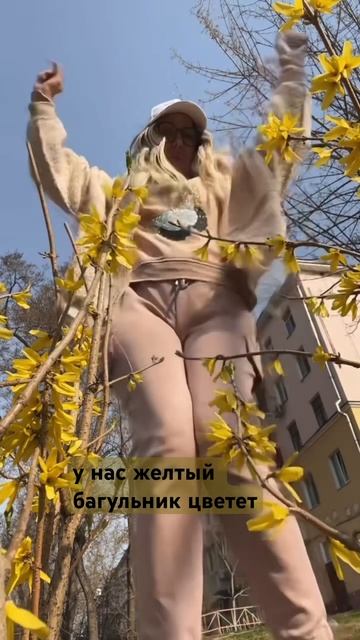 весна в Хабаровске#аняляпнет #багульник #весна#хабаро? смотреть онлайн