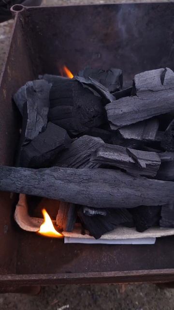 Как разжечь угли мангала коробкой от яиц за 5 минут ?