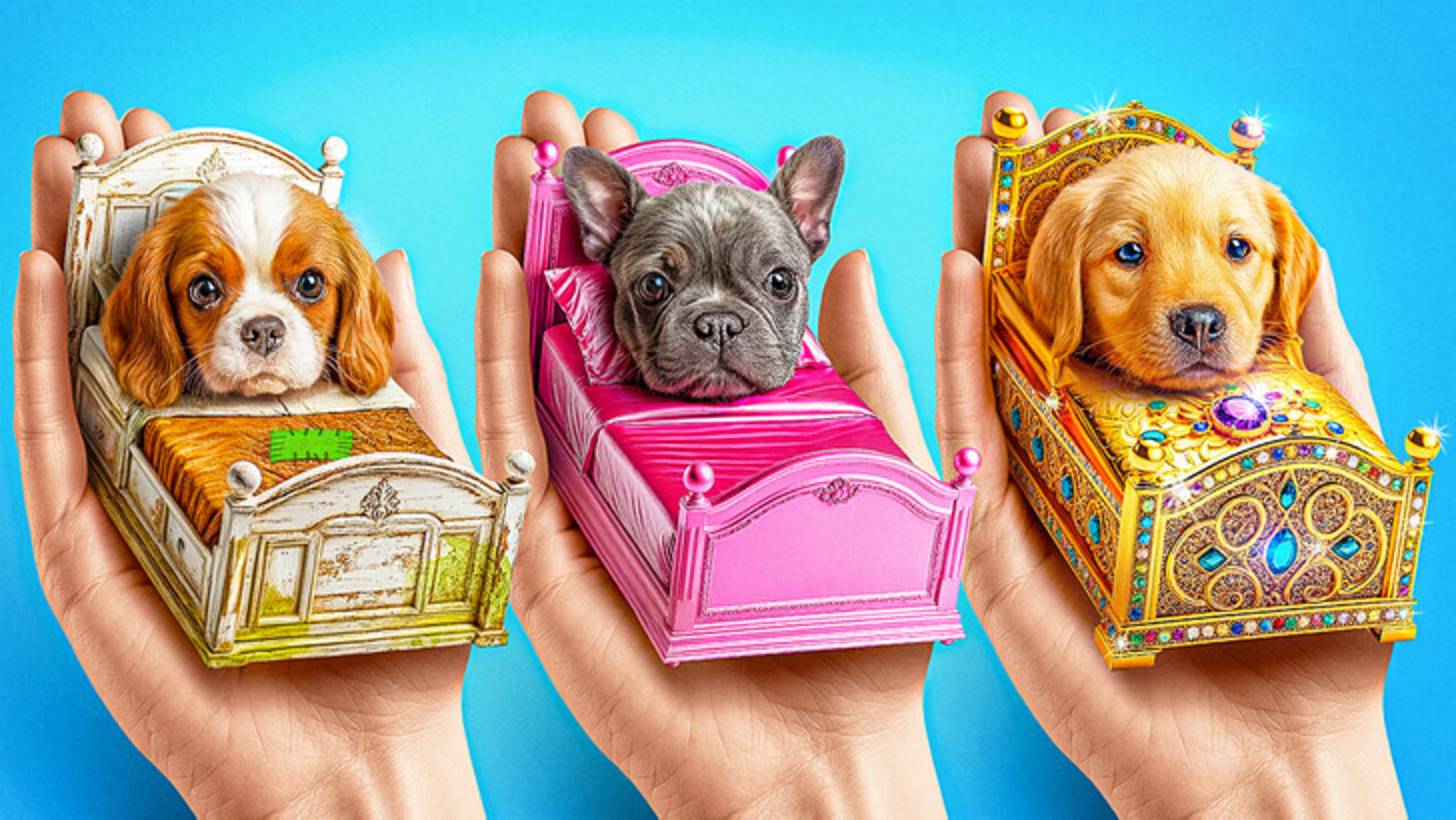 🐾Домик для питомцев своими руками ✨ Милый DIY-проект смотреть онлайн