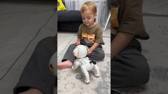 Наш новый питомец 🦮