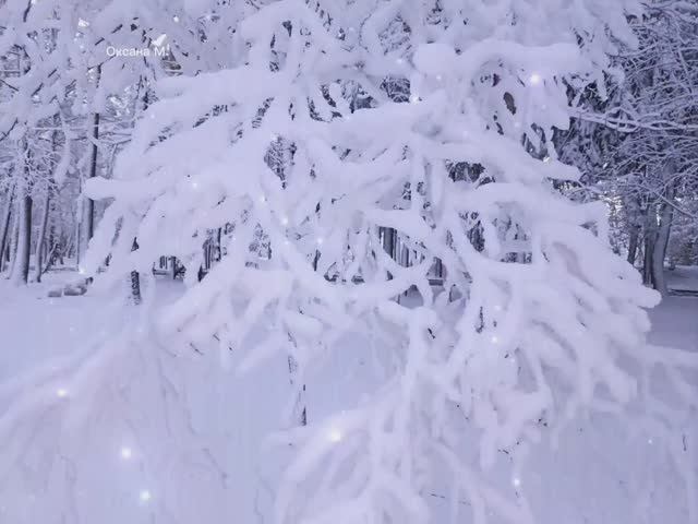 Снежная красота. Фото прошлых лет из Южно-Сахалинска