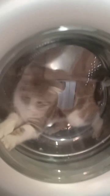 как говорил Юри Гагарин... ПОЕХАЛИ смотреть онлайн