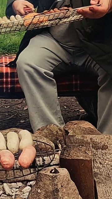 Гриль в лесу 16 #shorts смотреть онлайн