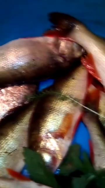 хранение рыбы без холодильника