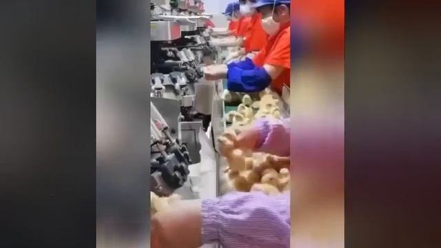 Это Китай! Каждый цыплёнок получает по несколько порц?