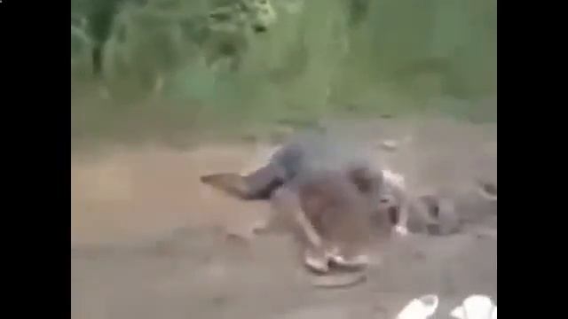 приколы пьяные девушки ! dirty drunk girls ! Приколы смотреть онлайн смотреть онлайн