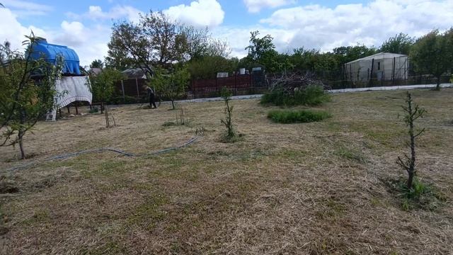 ✅ВСЕ В ДЕЛАХ🤷СОБАКИ ТОЖЕ🐕 смотреть онлайн