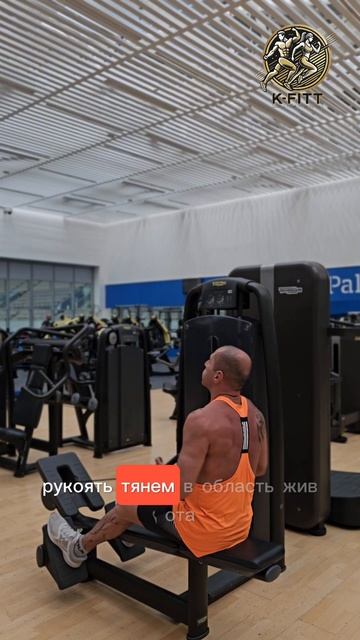 Тяга вертикального блока #fitness #gym #weightloss #спорт #bodybuilding смотреть онлайн