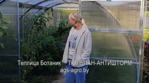 Эксплуатация теплицы ТЮЛЬПАН-АНТИШТОРМ - отзыв покупа