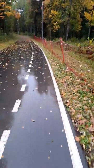 #Движение#Жизнь смотреть онлайн