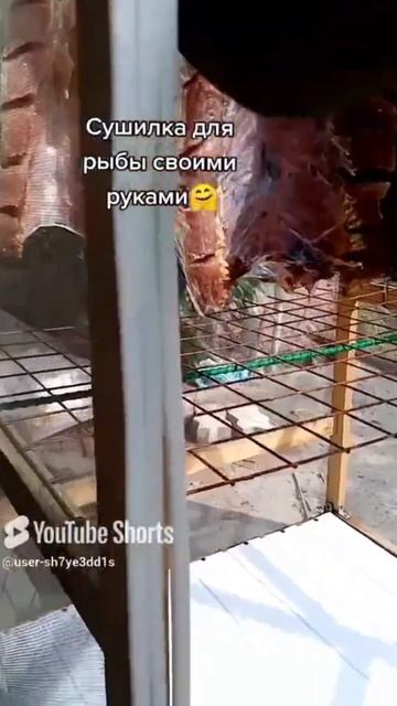 Сушилка для рыбы внутри#сушилка#рыба#балык#dryer#fish##ютуб смотреть онлайн