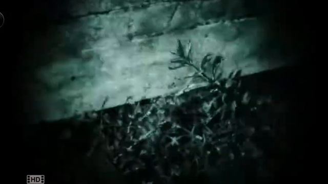 Прохожденик игры Outlast Whistleblower 7 часть-Теребонька смотреть онлайн