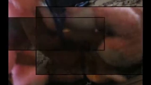 Камасутра от Olymp Group