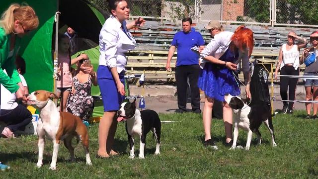 C0066 - Харьков САС 5 мая 2018 стафы смотреть онлайн