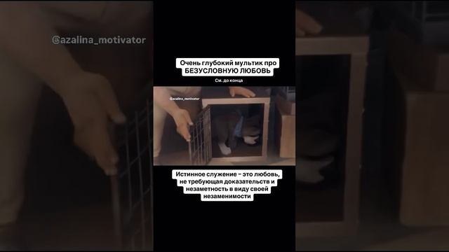 #мульт#мультфильмы#дети #кино #фильмы #2024 #психолог #коу смотреть онлайн