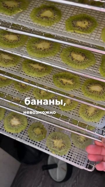 Силиконовые сетки для сушилки из Китая смотреть онлайн