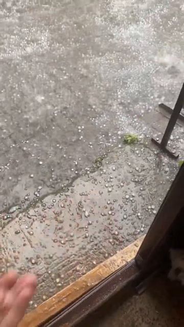 30.07.2024 город Казань погода ругается. #казань #град #дожд смотреть онлайн