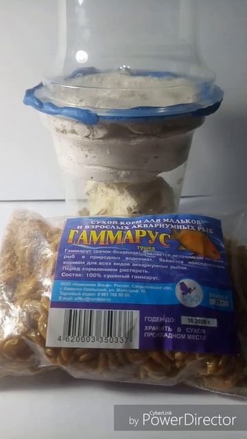 Чем кормить муравьёв вида лазиуз нигер (анти чайник!) смотреть онлайн