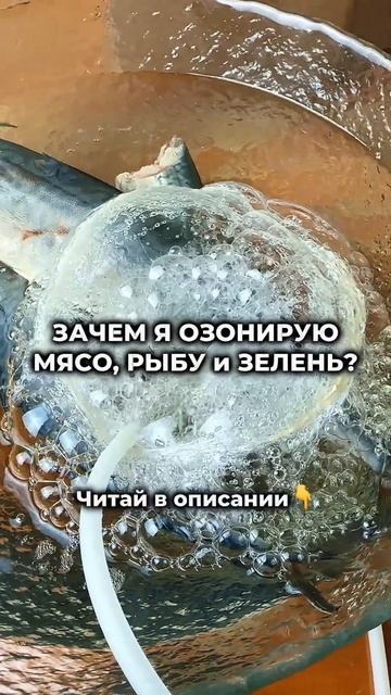 Зачем озонировать продукты? #озонатор #едадляжизни #зд смотреть онлайн