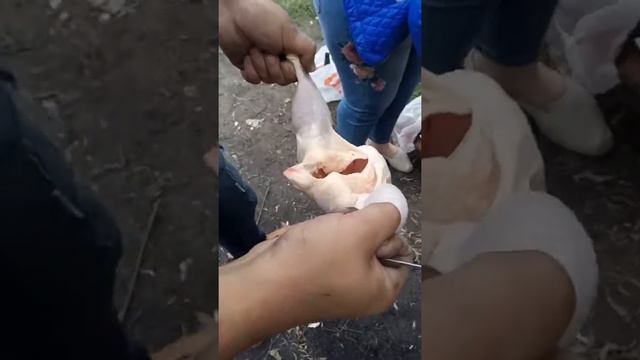 Пьянка смотреть онлайн