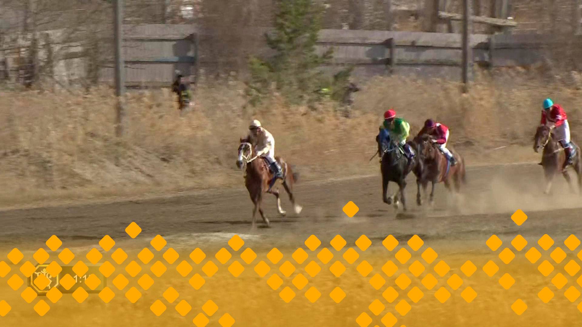 Конные скачки к 80-ти летию Великой Победы (10.05.25) смотреть онлайн