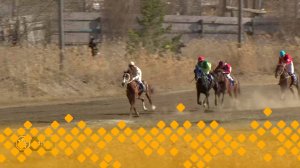 Конные скачки к 80-ти летию Великой Победы       (10.05.25)