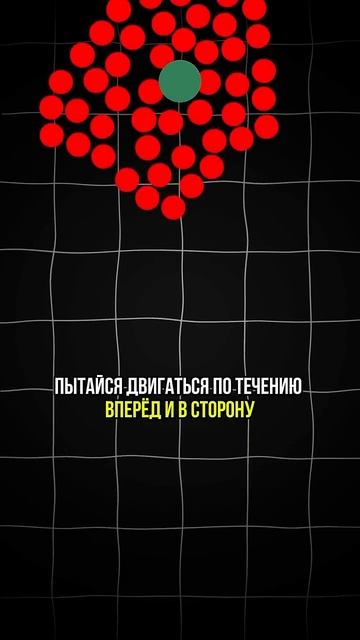 Как выжить, если оказался в человеческой мясорубке? смотреть онлайн