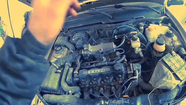 НЕКСИЯ ТРОИТ