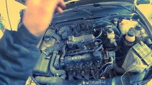 НЕКСИЯ ТРОИТ