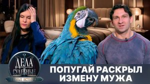 Дела судебные с Еленой Кутьиной. Новые истории. Эфир от 22.04.25