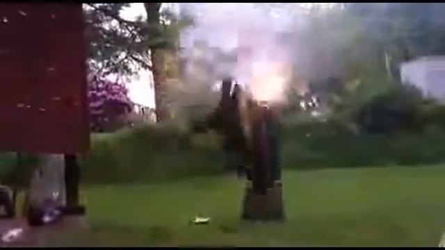 Прикол салют между ног как собака среагировала смотреть онлайн