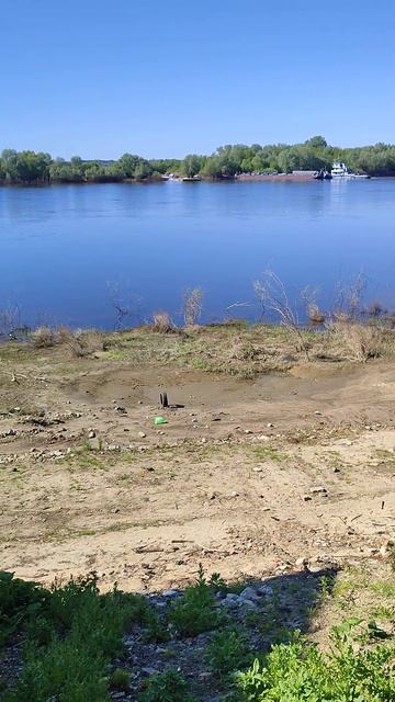 Серёжа 40 годиков #вес мусор принесло водой после разли смотреть онлайн