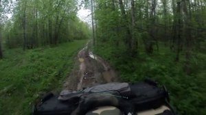Поездка на вездеходном квадроцикле Атлет через болотистый лес