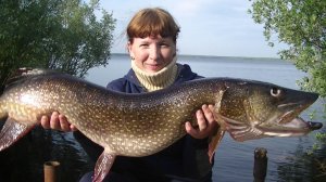 Таких Огромных Щук -Мы ещё Не Ловили! Рыбалка На Спиннинг с Лодки! День 2.