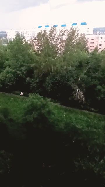 #sports #рек#погода дно😱😱 смотреть онлайн