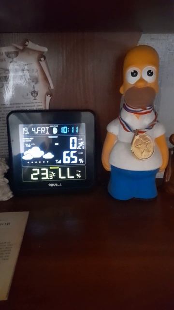 погода из Санкт-Петербурга #погода #санктпетербург смотреть онлайн