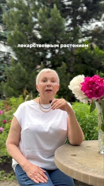 От куда появились пионы? #цветы #история #этикет смотреть онлайн