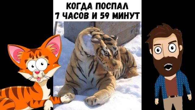 Лютые приколы. УТРО 1 ЯНВАРЯ!!! САМОЕ смешное видео! Засмеялся проиграл! - Domi Show! смотреть онлайн
